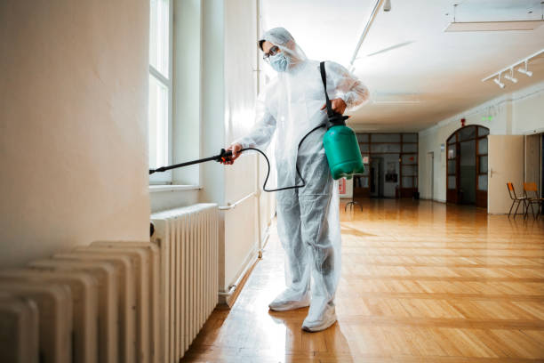 Best Termite Control Services  in Guttenberg, IA