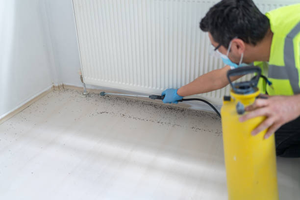 Best Pest Control for Businesses  in Guttenberg, IA